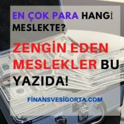En Çok Para Kazandıran Meslekler 2027