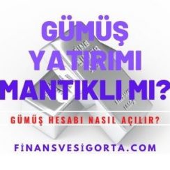 Gümüş Yatırımı Mantıklı Mı?